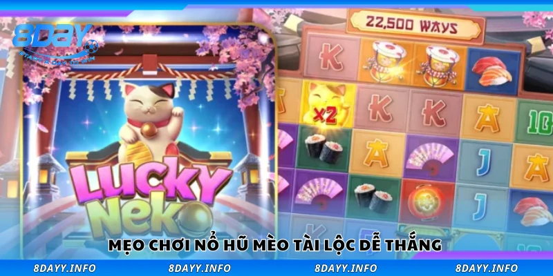 Một số mẹo chơi nổ hũ Mèo Tài Lộc dễ thắng