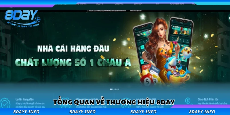 Tổng quan về nhà cái 8Day