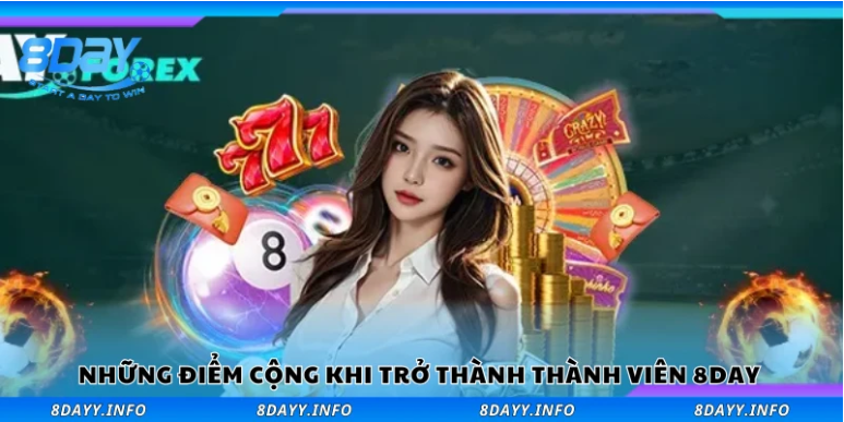 Điều khoản 8Day và chính sách bảo mật