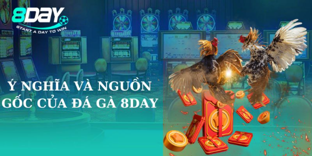 Các loại hình đá gà phổ biến tại 8Day