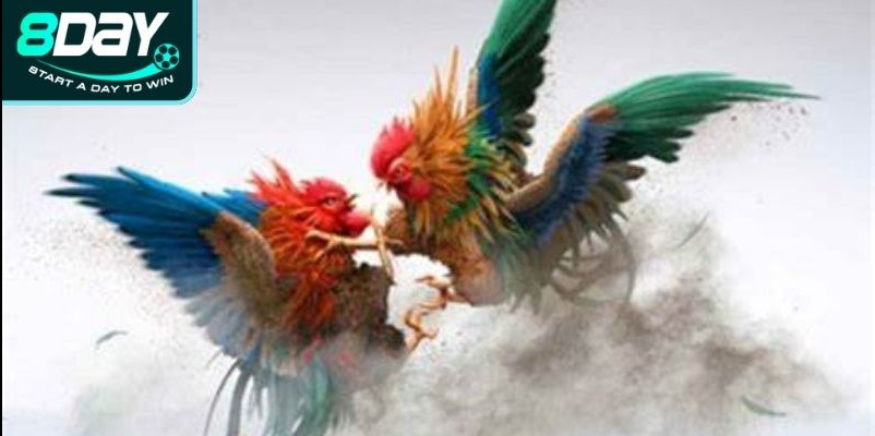 Tỷ lệ cược đa dạng, dễ chơi